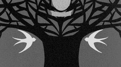 «Сходіть на кладовище»: уривок із книжки Анни Ніколаєвої «А тепер і спитати немає в кого... Як дослідити історію свого роду?» 