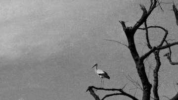 «Зрозуміти наш біль, відчути, що це — правда»: уривок із книжки Світлани Ославської «На власній шкірі» «Зрозуміти наш біль, відчути, що це — правда»: уривок із книжки Світлани Ославської «На власній шкірі»