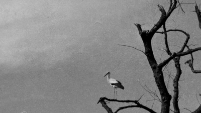 «Зрозуміти наш біль, відчути, що це — правда»: уривок із книжки Світлани Ославської «На власній шкірі»