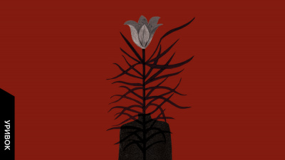 «Я люблю його. Я люблю його?»: уривок із книжки «Нерухомість» Анни Грувер