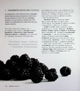 Книга Запрошую на розмову про вино фото