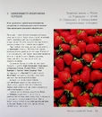 Книга Запрошую на розмову про вино фото