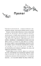 Книга Сем на зв'язку (Сем на зв'язку #1) фото