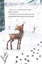 Книга Оленичка і Малинівка фото