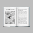 Книга Мова шаблонів фото