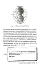 Книга The Shadow Work Journal. Як прийняти себе та протистояти упередженням, що руйнують життя фото