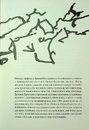 Книга Біжи, Кролику фото
