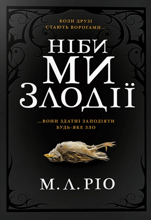 Книга Ніби ми злодії (Limited edition) фото