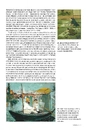 Книга Історія Мистецтва фото