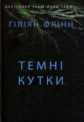 Темні кутки - книга Гіліян Флінн, 2023