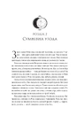 Книга Двоповня. Закони Невриди. Том 1 фото