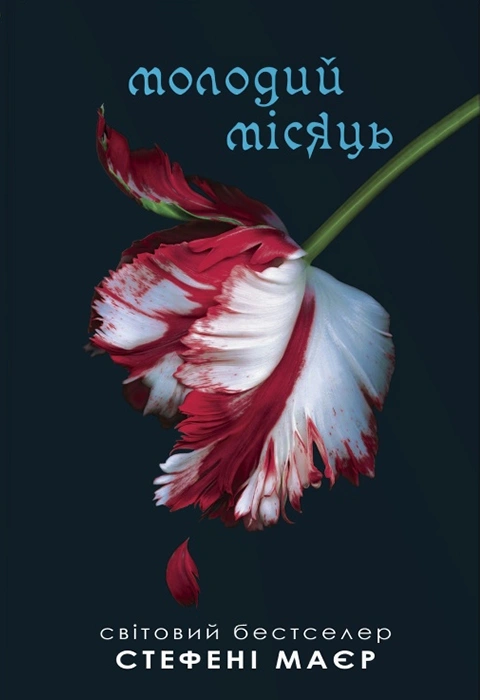Книга Молодий місяць. Сутінкова сага. Книга 2 фото