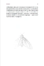 Книга Первісне зло фото