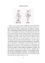 Книга 8 правил кохання. Як знайти, зберегти і відпустити почуття фото