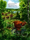 Книга Мама Му гойдається фото