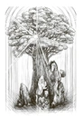 Книга Гонихмарник фото