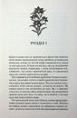 Книга Гірке солодке кохання фото