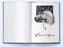 Книга Джерело Вознесіння. Книга 2 фото