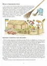 Книга З Фіндусом цілий рік фото