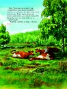 Книга Як Мама Му поранилася фото