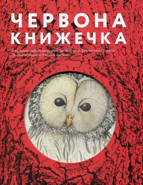 Червона книжечка фото