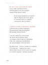 Берестечко фото