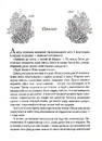 Книга Лихий король фото