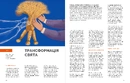 Книга Журнал "Локальна історія №10. Різдво" фото