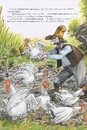 Книга Петсон, Фіндус і переполох на городі фото