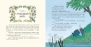 Книга Вітер у вербах (Кольорова класика) фото