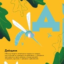 Книга Книжечка-мандрівочка. Вінниця фото
