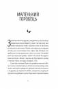 Тім, Полін і Франсуа фото