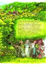 Книга Петсон, Фіндус і торт на іменини фото