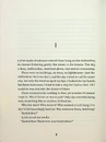 Книга The Flood фото