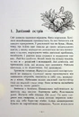 Книга Гонихмарниця фото