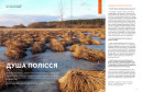 Локальна історія № 5. Полісся (2025) фото