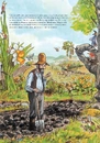 Книга Кухарська книга Петсона та Фіндуса фото