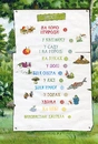 Книга Петсон і Фіндус на природі фото