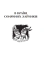 Книга В Країні Сонячних Зайчиків (м'яка обкладинка) фото