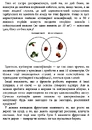 Книга Фрукти проти овочів фото