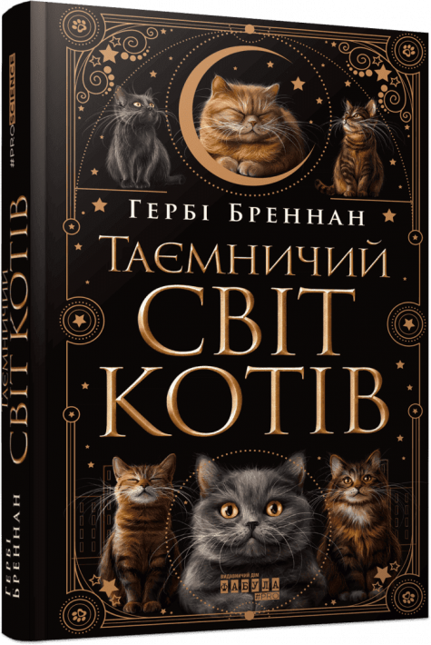 Таємничий світ котів фото