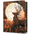 Книга Боговбивця Limited edition фото