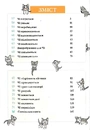 Книга Чі. Життя однієї киці. Том 4 фото