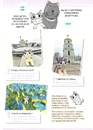 Книга Чі. Життя однієї киці. Том 7 фото