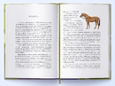 Книга Чуття і чутливість фото