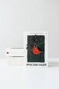 Книга Пригоди бравого вояка Швейка фото
