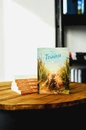 Книга Толіки. Про тих, хто перемотував касету олівцем фото