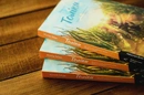 Книга Толіки. Про тих, хто перемотував касету олівцем фото