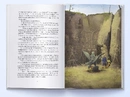 Книга Дитя Одіна фото