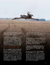 Книга Журнал "Локальна історія №8. Хліб" фото